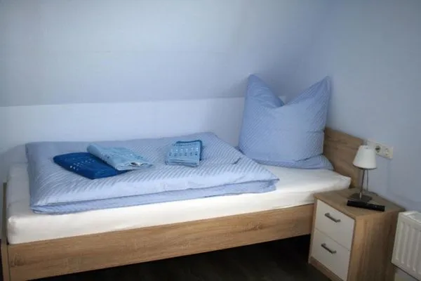 Seestern-7  Seestern