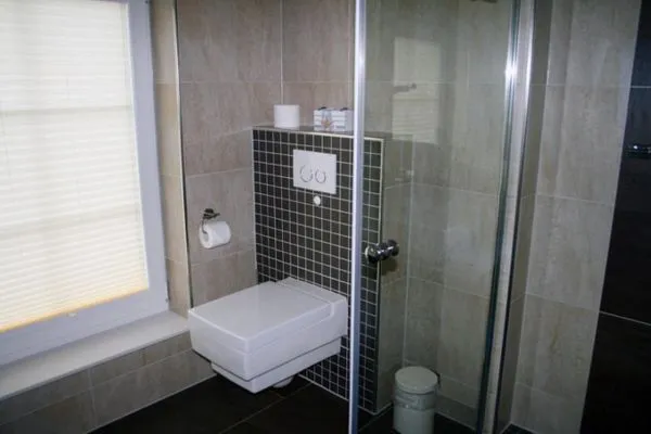 Seestern-9  Seestern