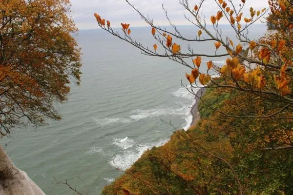 Seestern-20  Seestern