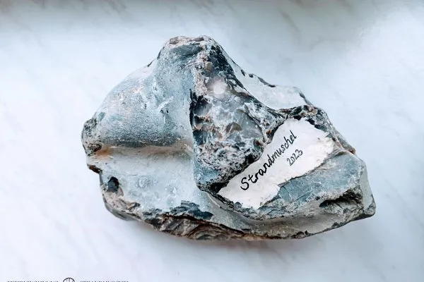 Ferienwohnung Strandmuschel-9  Ferienwohnung Strandmuschel