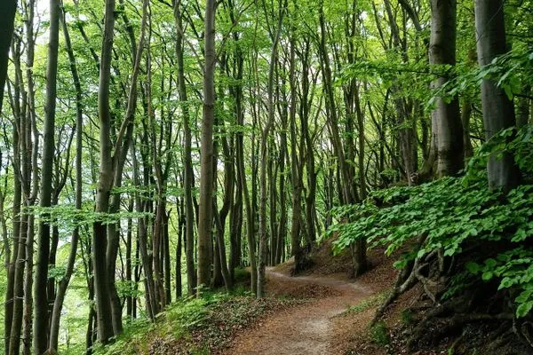 Ferienwohnung Strandmuschel-12  Ferienwohnung Strandmuschel