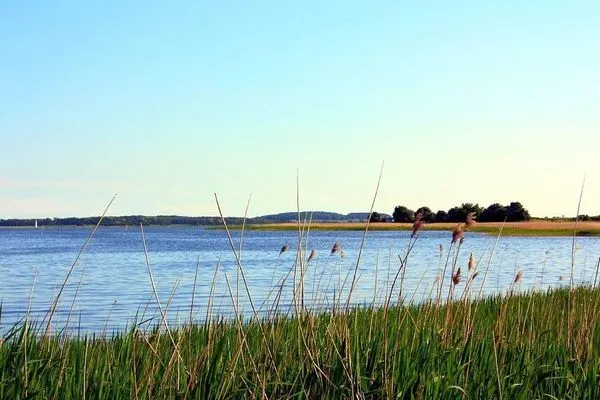 Haus Sanddorn-25  Haus Sanddorn