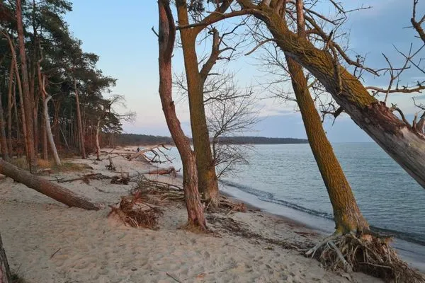 Ferienhaus zum Kranichblick-10  Ferienhaus zum Kranichblick