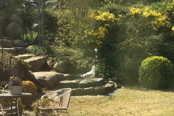 Ferienwohnung Ginster-18  Ferienwohnung Ginster