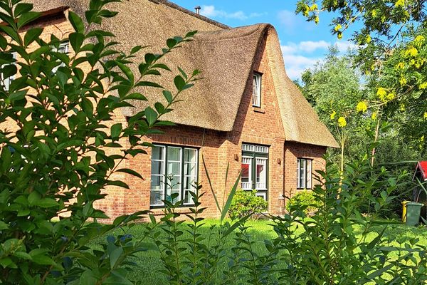  Möwen-Nest Tönning - Rasenfläche