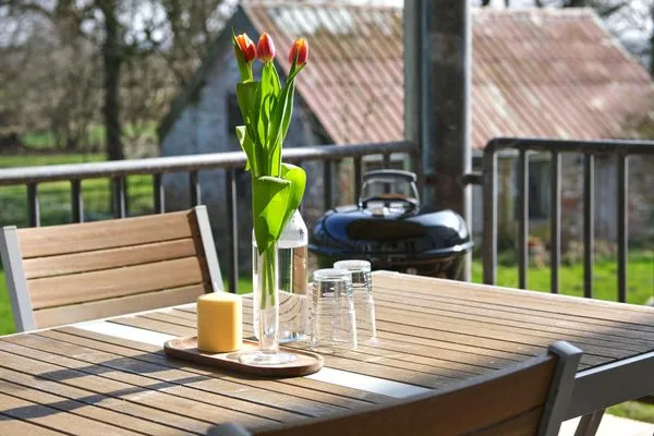 Terrasse  Ferienwohnung Gut Hardesby
