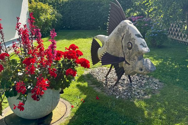 FERIENHÄUSER Strandhaus Dünenwind Ostseebad Wustrow - 