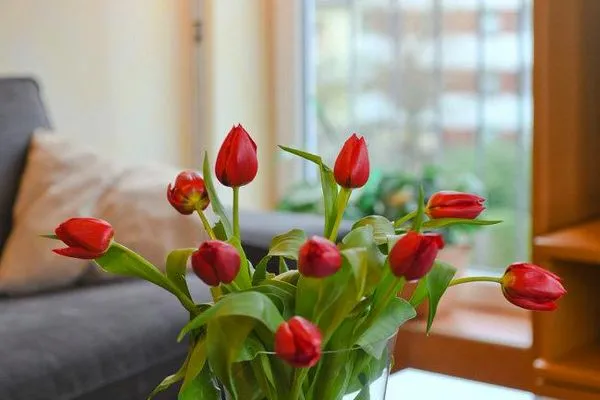 Dekoratives Detail Maisonette-Wohnungen am Steingarten Ferienwohnungen 1 und 2