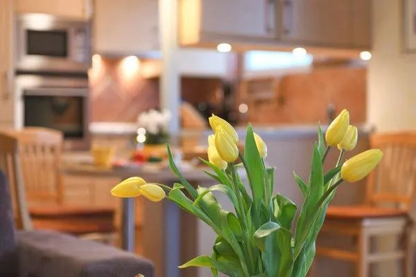 Dekoratives Detail Maisonette-Wohnungen am Steingarten Ferienwohnungen 1 und 2