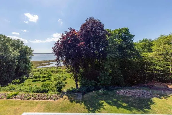 Ferienwohnung SeeSuite Waren (Müritz) Umgebung  SeeSuite