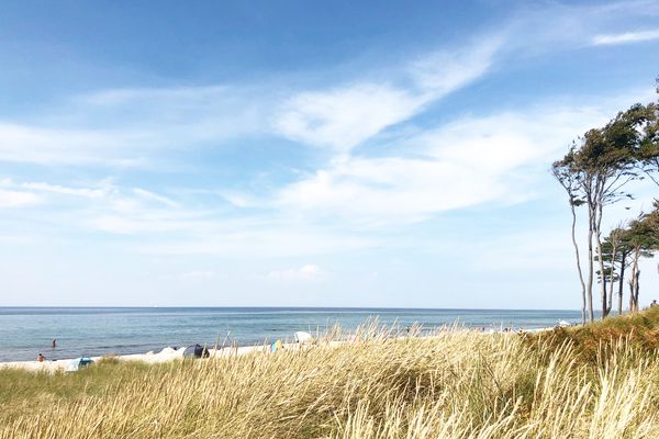  Villa Ruhleben Prerow - Strand