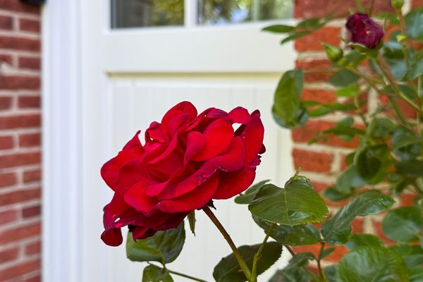  Tetenbüllerbü - immer schulfrei ! Poppenbüll,Osterhever,Tetenbüll - Haustür