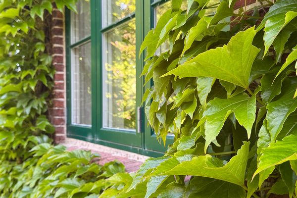 Tetenbüllerbü - immer schulfrei ! Poppenbüll,Osterhever,Tetenbüll - Fenster