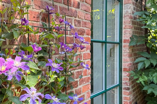  Tetenbüllerbü - immer schulfrei ! Poppenbüll,Osterhever,Tetenbüll - Fenster