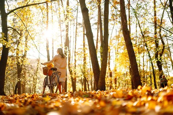 Landschaft  Ferienhaus Graukranich 41