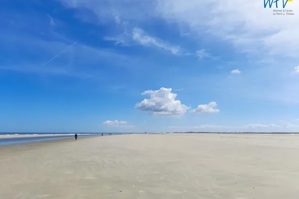 Meerblick Strandhus Ferienwohnung Panorama Ausblick