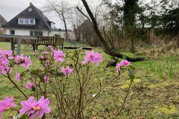   Ferienhaus Heidelodge