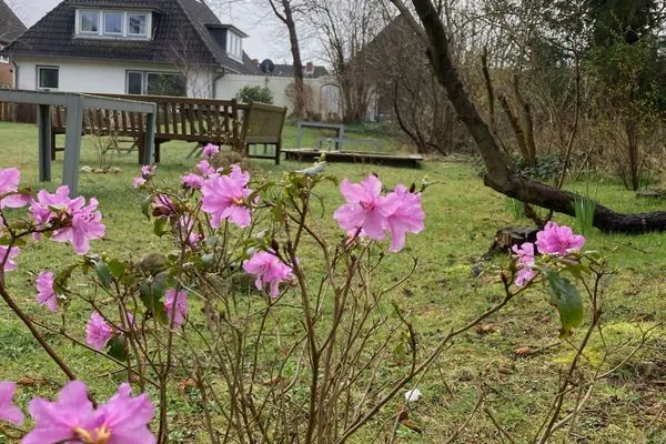   Ferienhaus Heidelodge