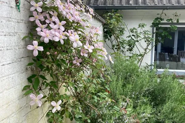   Ferienhaus Heidelodge