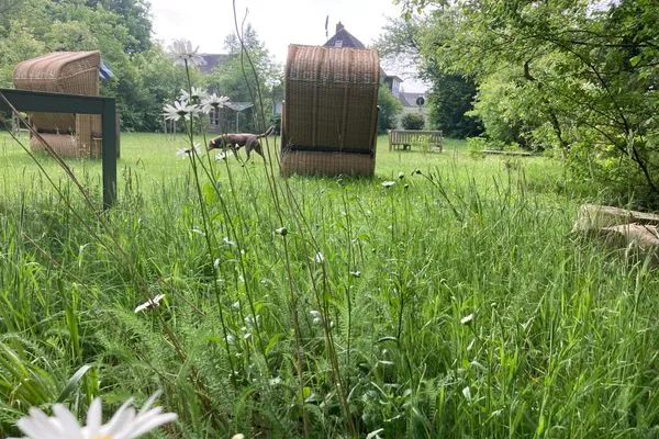   Ferienhaus Heidelodge