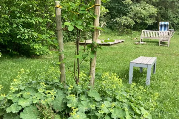   Ferienhaus Heidelodge