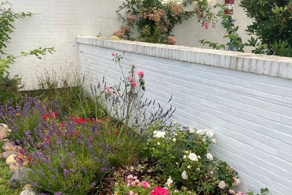   Ferienhaus Heidelodge