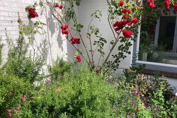   Ferienhaus Heidelodge