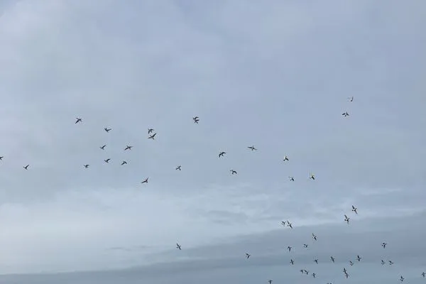   Ferienhaus Heidelodge