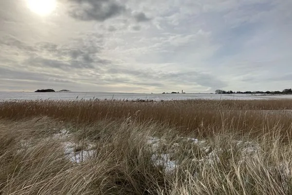   Ferienhaus Heidelodge
