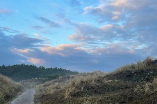   Ferienhaus Heidelodge