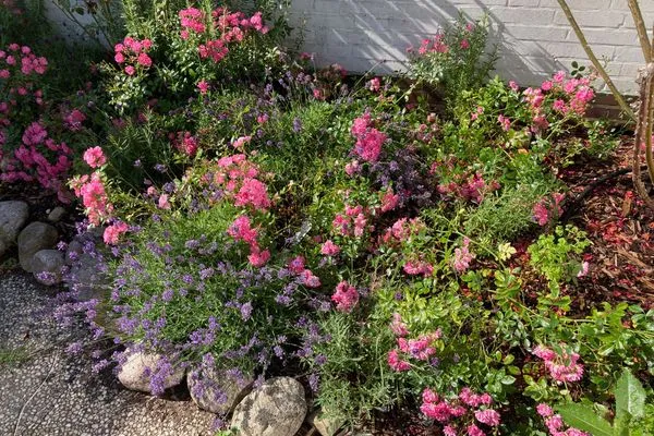   Ferienhaus Heidelodge