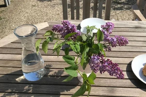   Ferienhaus Heidelodge