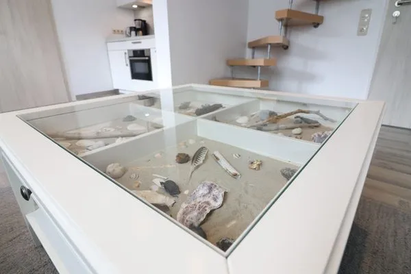 Dekoratives Detail  Austernfischer