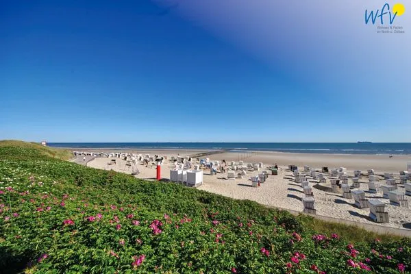 Strand Haus Panorama Ferienwohnung Strandkieker