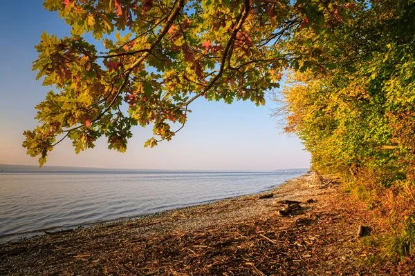 Strandspaziergang im Herbst  Reetdachkate Fuchsgraben
