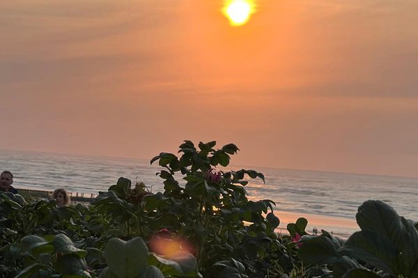 Haus Alexandra Ferienwohnung 8 Dat Büdche Wangerooge - Meerblick