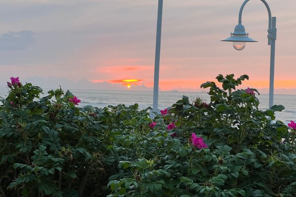 Haus Alexandra Ferienwohnung 8 Dat Büdche Wangerooge - Meerblick