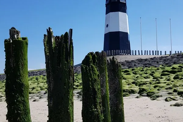  Breskens Chalet Meeresrauschen mit Zaun Haus Nr. J251