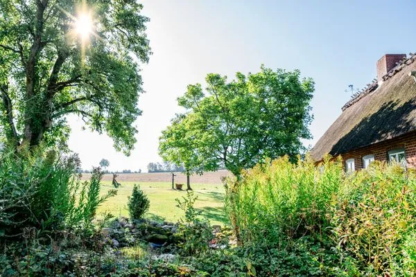 Üppiger Garten am Reethus Mühlenlund  Ferienwohnung Teve im Reethus Mühlenlund