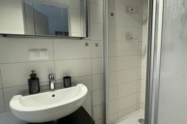 Badezimmer  Gemütliches Appartement "Franz" in Halle inklusive Stellplatz
