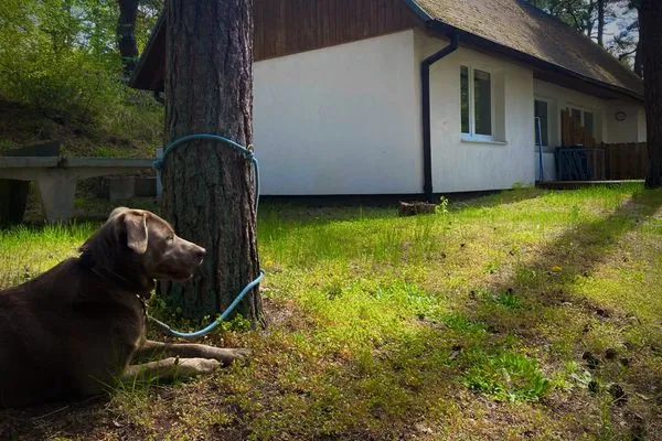   Ferienglück im Doppelhaus- 60 m zum Strand (Haus 2)