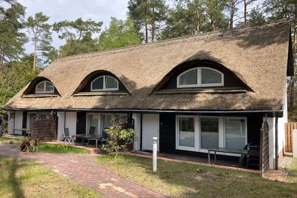   Inselglück unter Reet 100 m zum Strand (Haus 2)