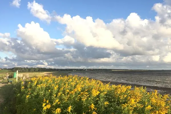 Wanderweg am Wattenmeer auf Amrum  Ferienwohnung *Fenja*