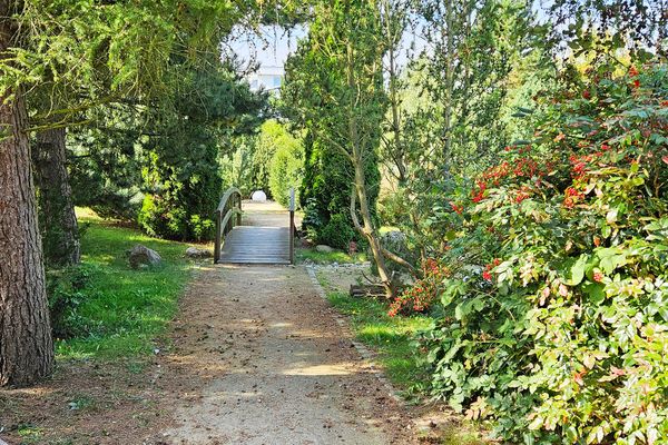  Meerklang Kühlungsborn - 