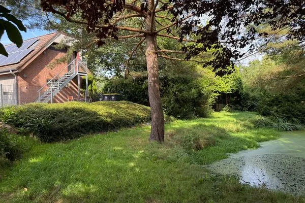 Garten  Kleine Auszeit