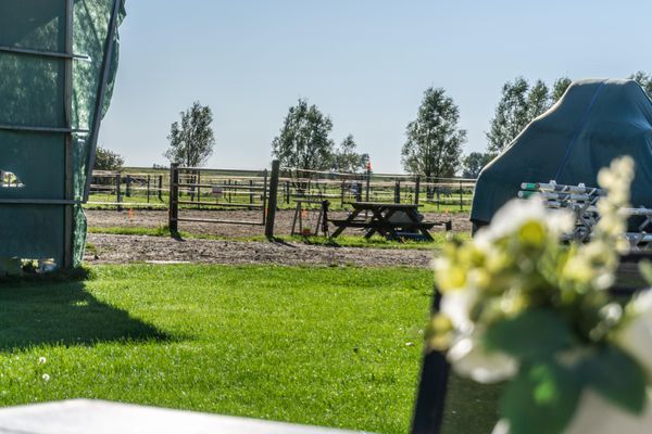  Immensee App. B St. Peter-Böhl - Reitanlage