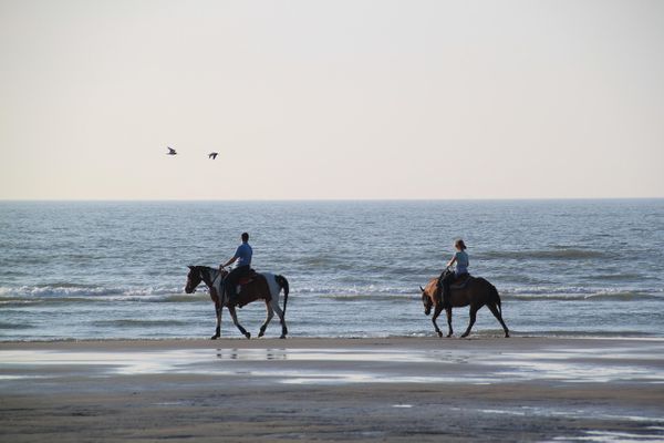 Reiter am Strand