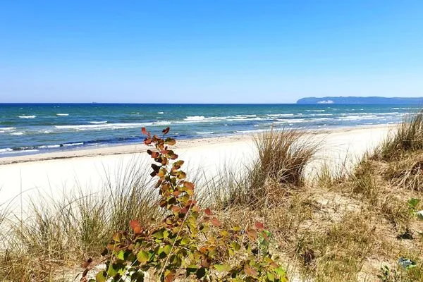 FeWo Treibgut in PRORA - 8.12-21  FeWo Treibgut in PRORA - 8.12