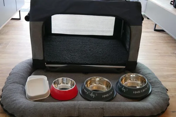 Hund  FeWo Loft Sturmmöwe in PRORA - 4.12