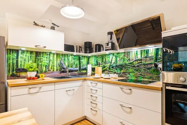 Vollausgestattete Küche  FeWo Loft Sturmmöwe in PRORA - 4.12